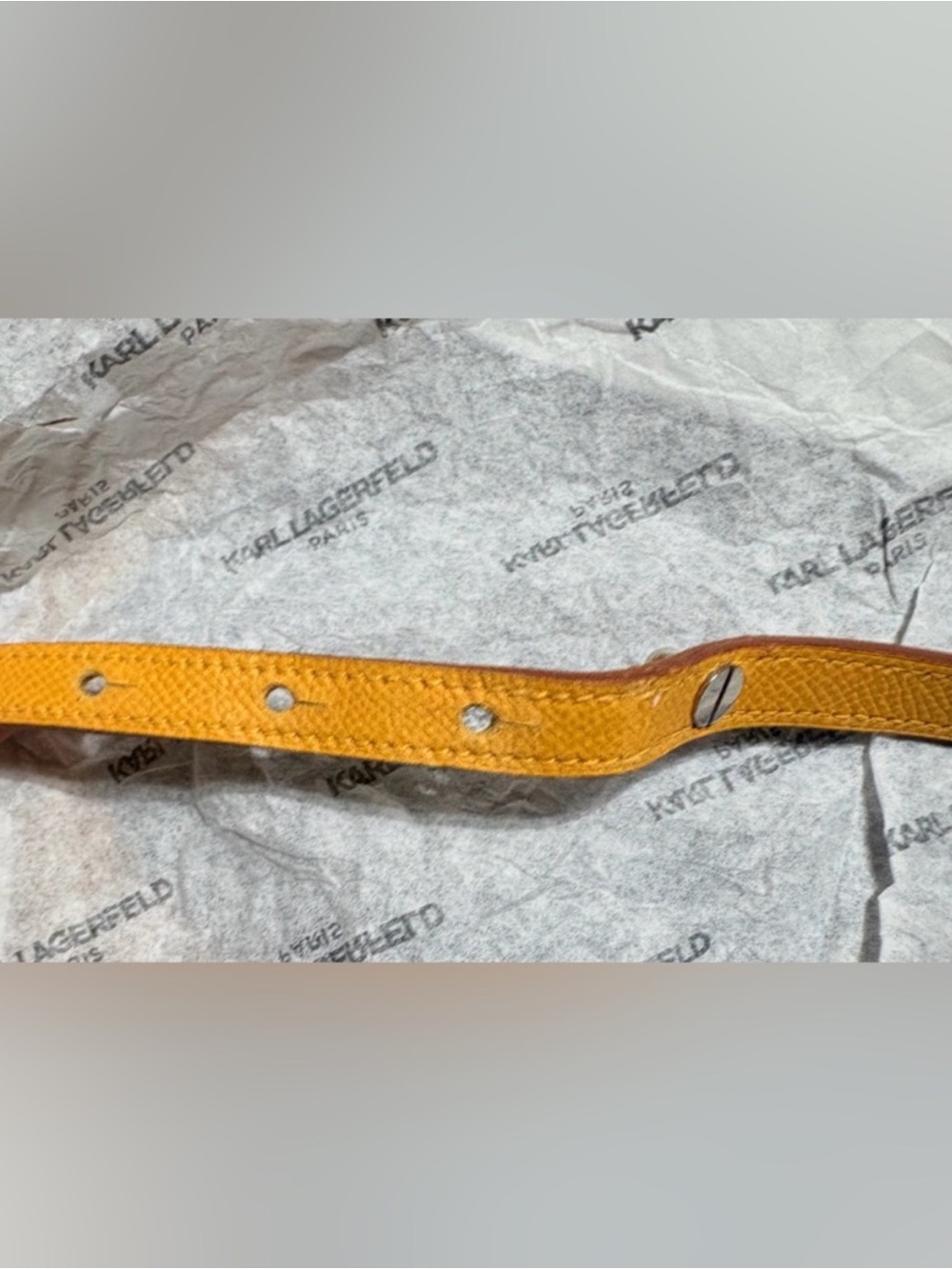 Hermès Yellow Epsom Leather Collar/ Bracelet PM | Palladium COA Authenticated - Picture 9 of 10